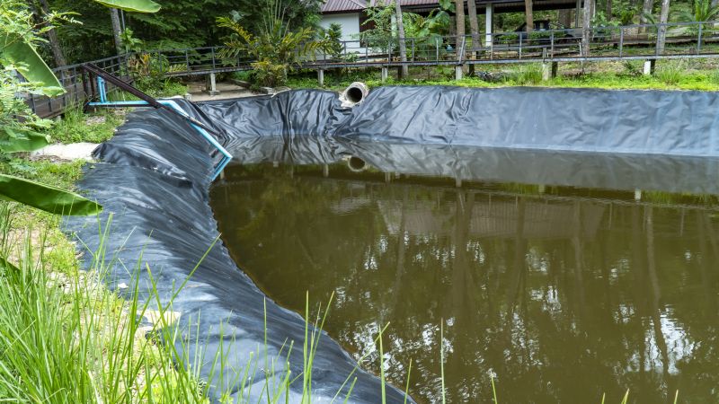 Cost of Pond Cleaning — Cost of Pond Cleaning