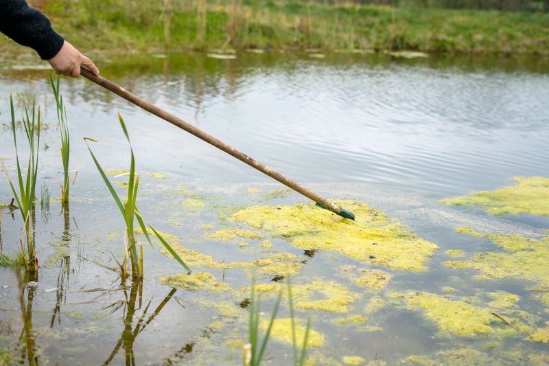 Cost of Pond Cleaning — Cost of Pond Cleaning