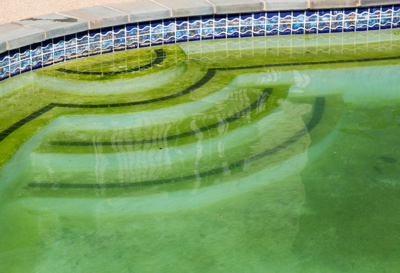 Summer Algae Control
