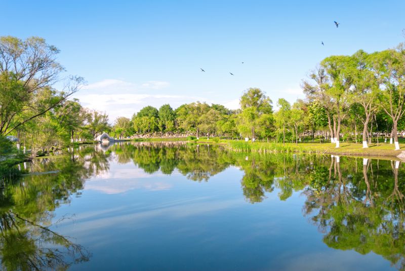 Get Professional Retention Pond Cleaning To Preserve Aesthetic Appeal!