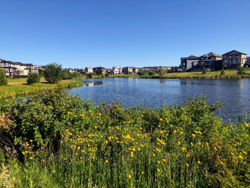 Get Professional Retention Pond Cleaning To Reduce Algae and Weed Growth!